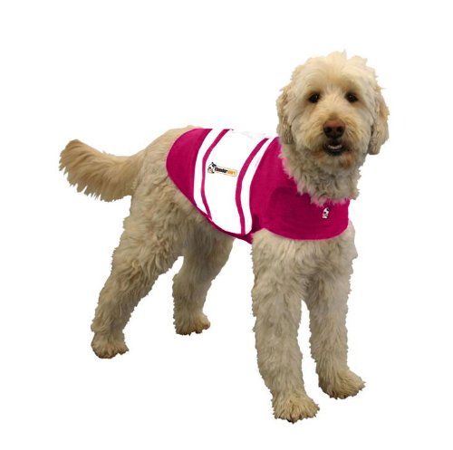 ThunderShirt for Dogs - Dog Anxiety Vest