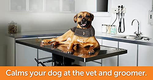 ThunderShirt for Dogs - Dog Anxiety Vest