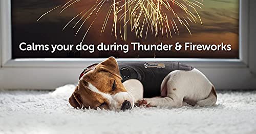 ThunderShirt for Dogs - Dog Anxiety Vest