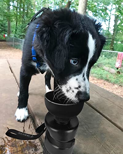 lesotc Upgraded Dog Water Bottle Foldable,Portable Dog Water Dispenser,Leak Proof Pet Water Bottle for Dogs,Dog Travel Water Bottle for Outdoor Walking,Hiking,Travel,BPA Free,Lightweight