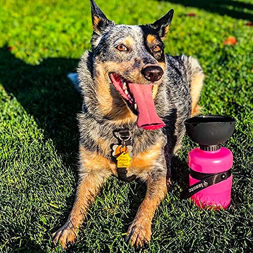 lesotc Upgraded Dog Water Bottle Foldable,Portable Dog Water Dispenser,Leak Proof Pet Water Bottle for Dogs,Dog Travel Water Bottle for Outdoor Walking,Hiking,Travel,BPA Free,Lightweight