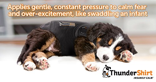 ThunderShirt for Dogs - Dog Anxiety Vest