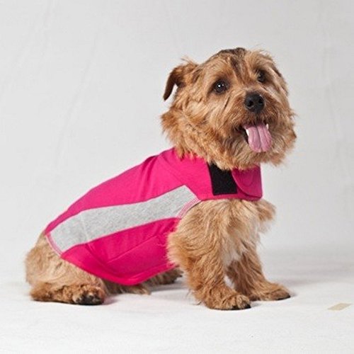 ThunderShirt for Dogs - Dog Anxiety Vest