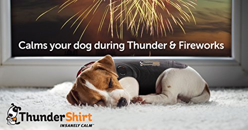 ThunderShirt for Dogs - Dog Anxiety Vest