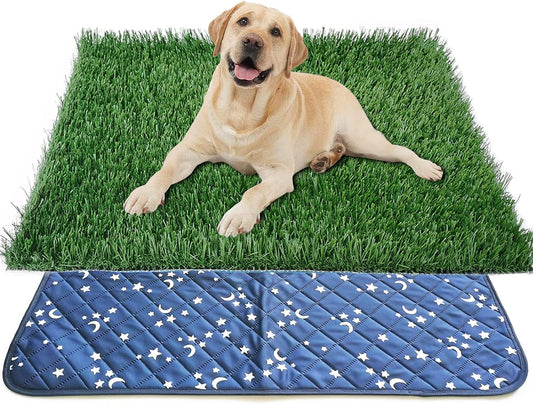 Upgrade Large Dog Grass Pad (30’’X20’’), 2-PCS Artificial Grass Dog Turf and Washable Pee Pad, Professional Reusable Dog Grass Pee Pad, Training Use for Indoor Outdoor Apartment, Fit for Medium Dogs
